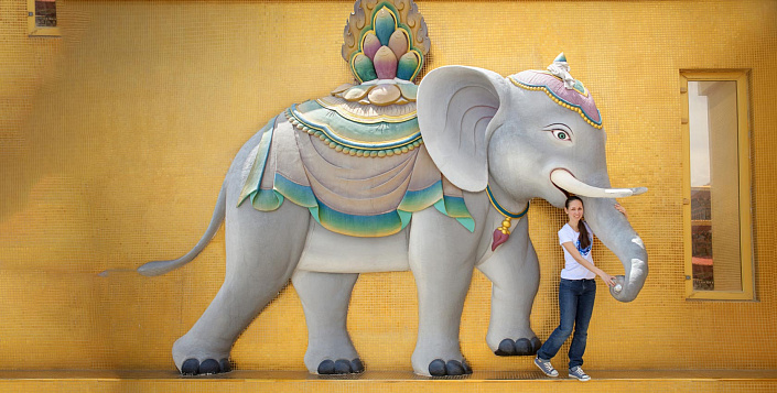 Хаттхираджаванна сутта: Царский слон