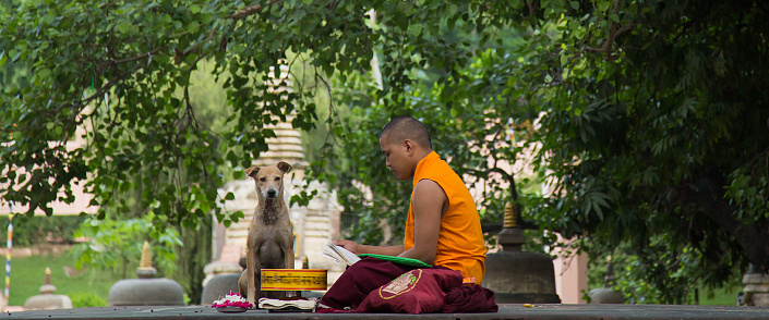 буддийский монах и собака фото