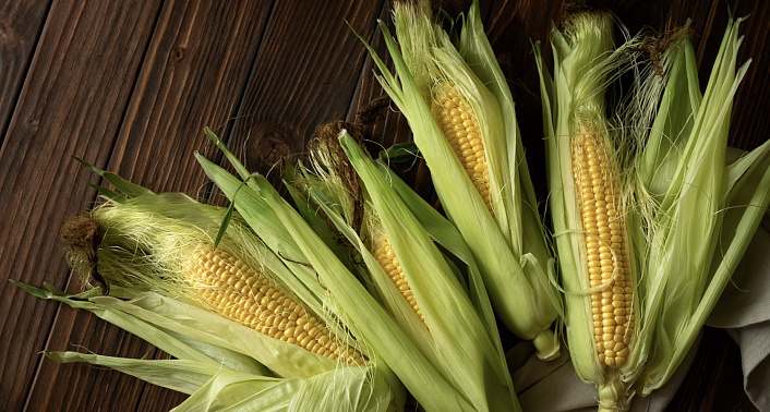 Кукуруза: польза и вред для организма🌽