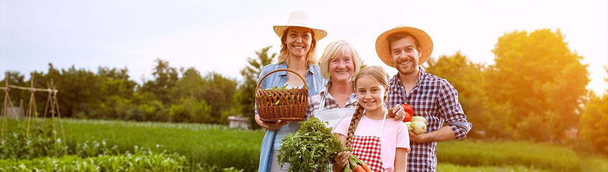 Вегетарианство: философия и разнообразие видов