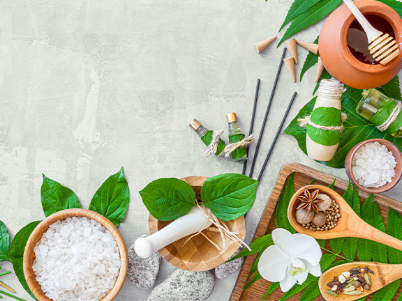 Аюрведа обучение в Керале (Индия)