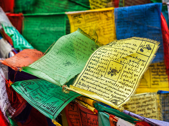 Сутра рисового ростка