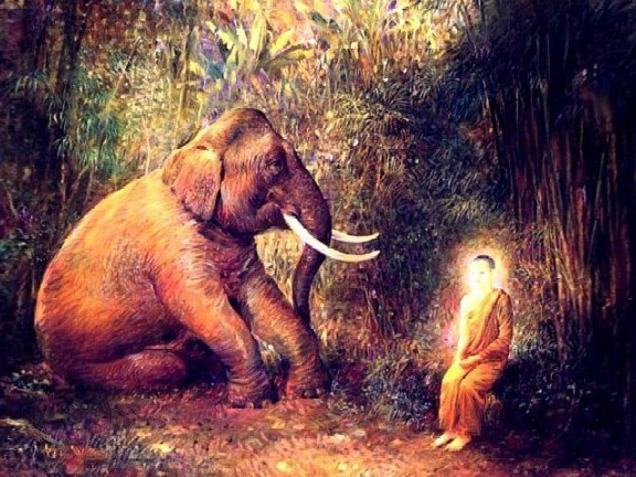 Буддачарита.  Жизнь Будды Глава 21 - Пьяный слон