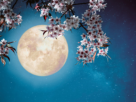 Чандра бхедана-пранаяма