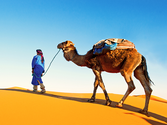 Труд и работа