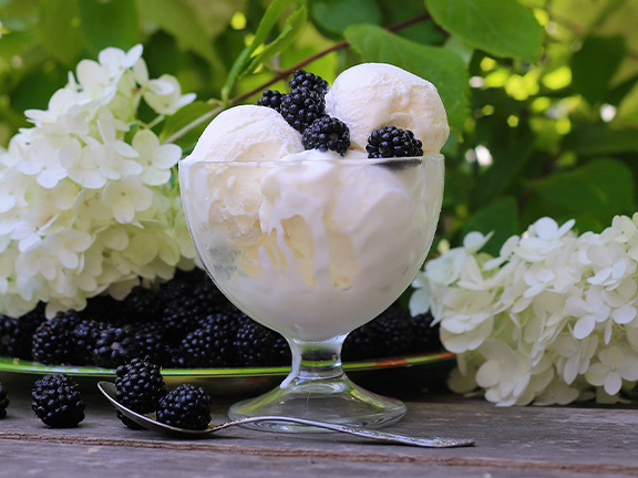 Домашнее мороженое из сливок