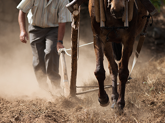 Притча о труде