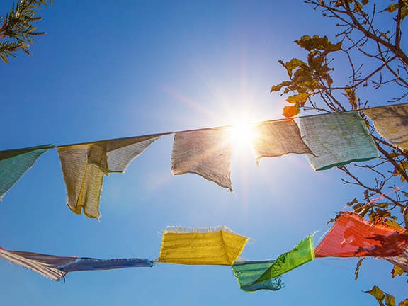 Джатака о голубе