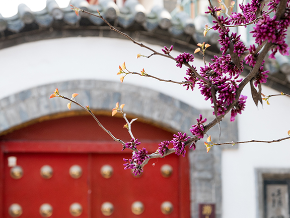 Великий сон