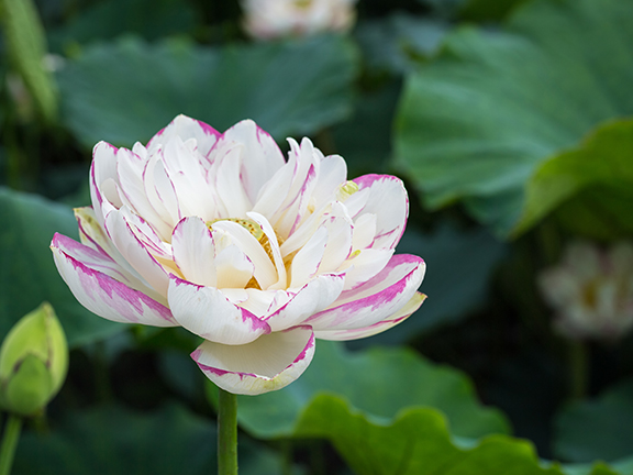 Принять себя