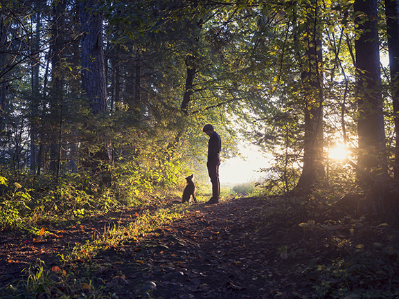 О собаке и верности