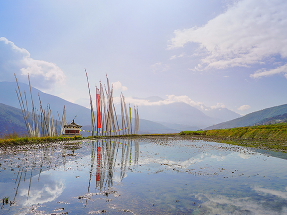 Джатака о рыбе