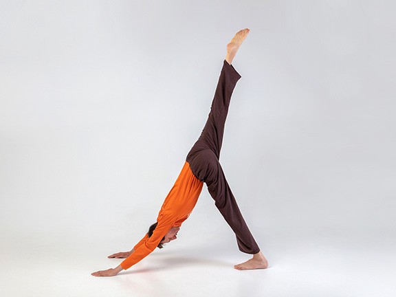 Эка Пада Адхо Мукха Шванасана 