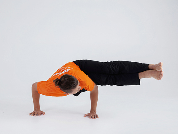 Дви Пада Каундиниасана