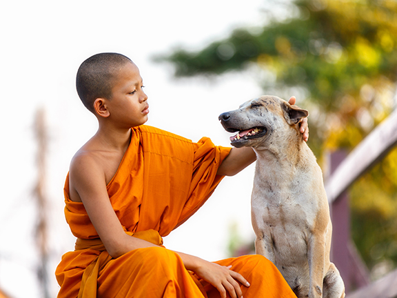 Буйный нрав