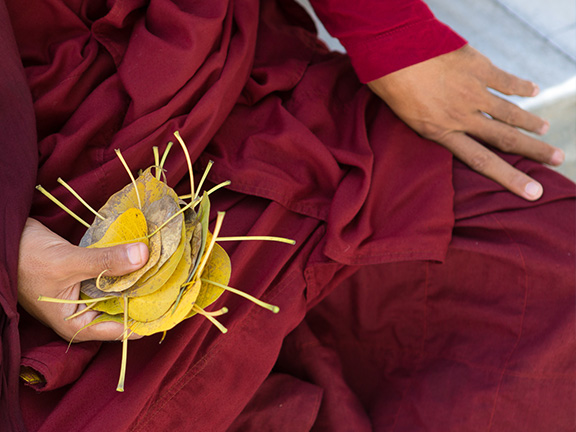 Малая сутра Кашьяпы