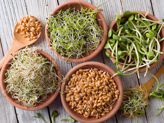 Что такое проростки: польза, вред и способы проращивания дома