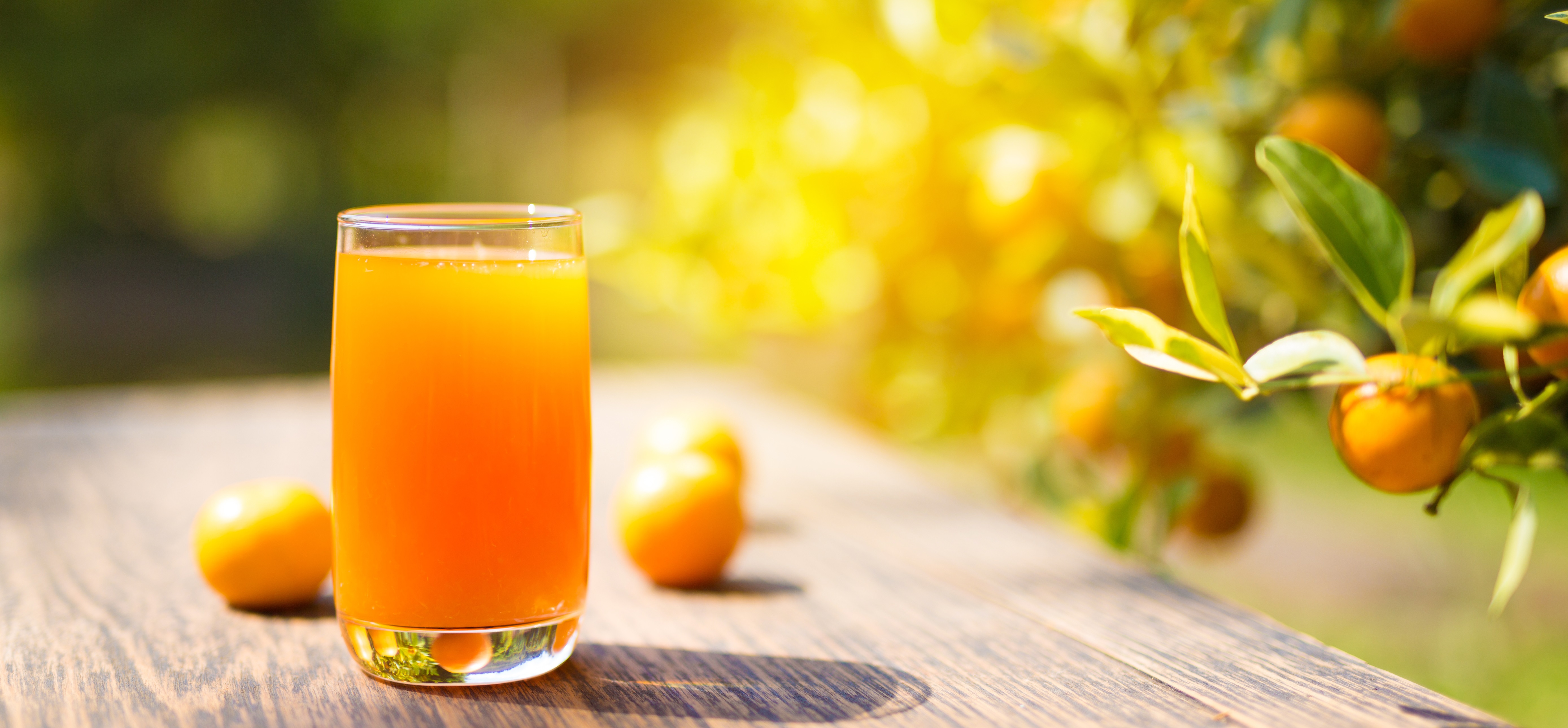 Виноградно апельсиновый сок. Мандариновый сок. Свежевыжатый мандариновый сок. Апельсиновый сок. Свежевыжатый апельсиновый сок.