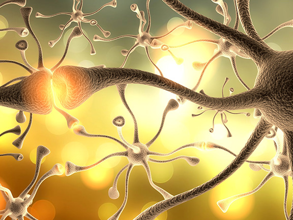 раковые клетки