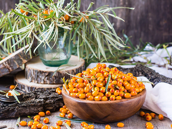 Облепиха: польза и вред для здоровья, научные факты