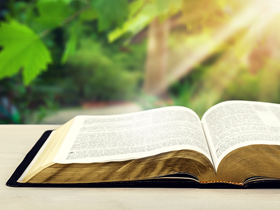 Зачем читать намтары (жизнеописания)?