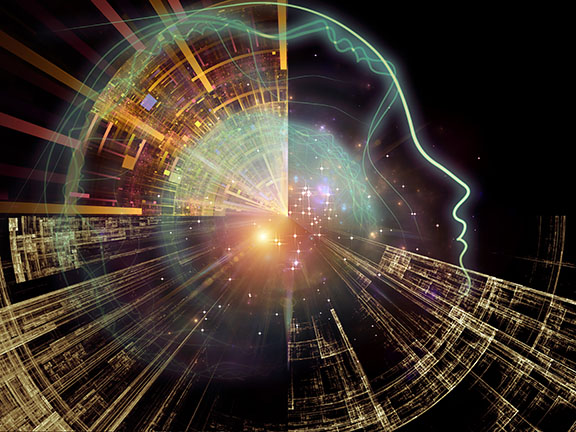 В сетях ярлыков