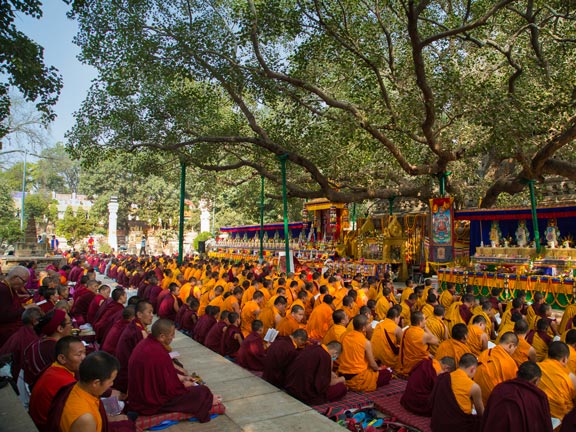 Самбахула сутта: Группа