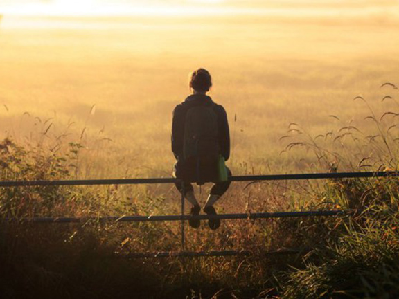 девушка сидит на заборе