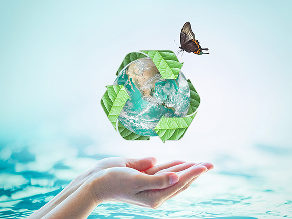 «Эко» логичный образ жизни. Несколько практических рекомендаций