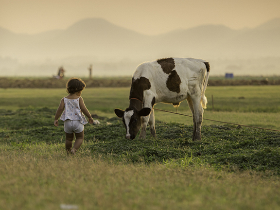 Для самых маленьких вегетарианцев. Павлова Т.Н.