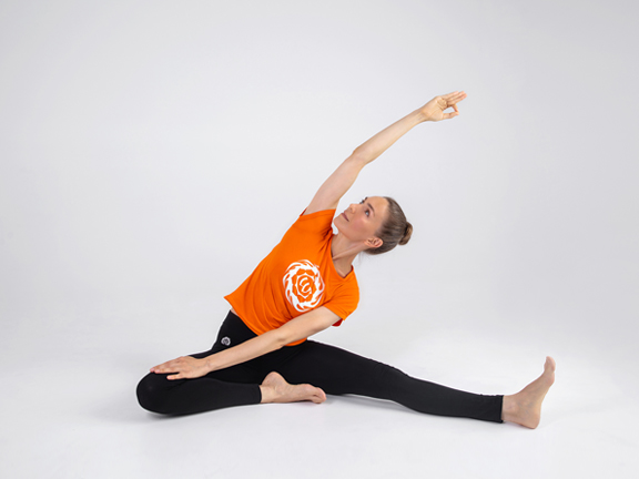 Паривритта Джану Ширшасана