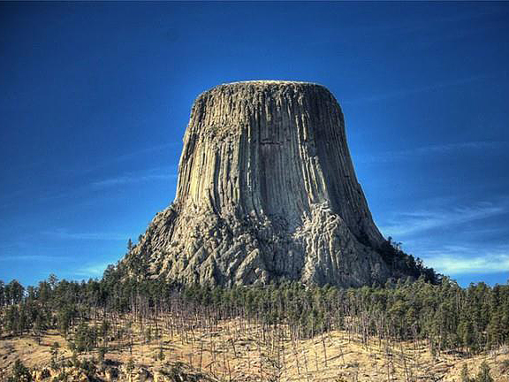 Что нужно знать о лесе? Альтернативный взгляд на реальность