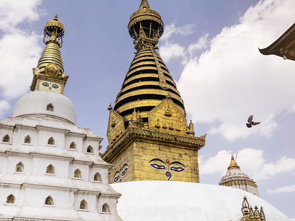 «Кирпичики» знаний