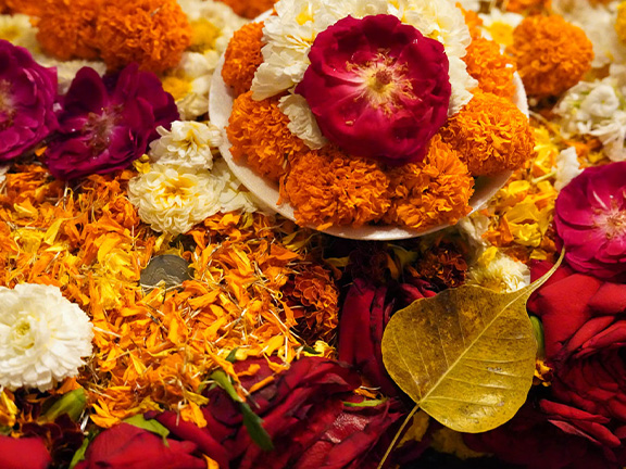 Джатака об остальной оставшейся еде