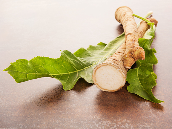 корни и листья хрена