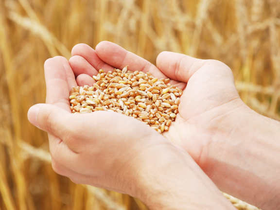 Щедрость. Что отдал, то твоё