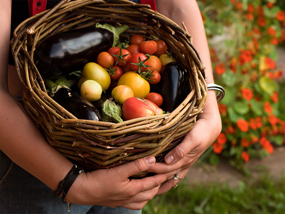 Известные вегетарианцы: мудрецы, спортсмены, актёры, музыканты