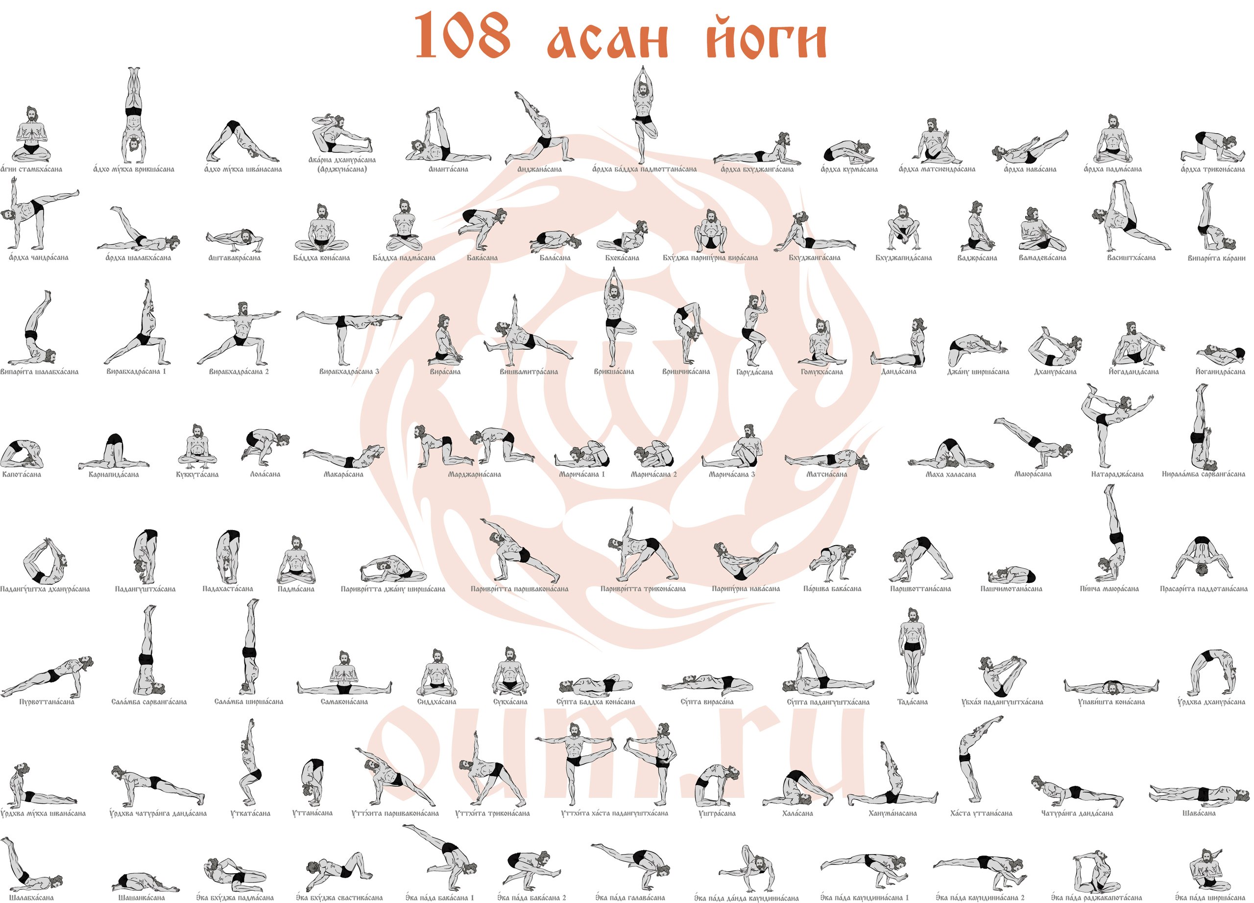 Асаны йоги с названиями. Хатха-йога асаны в картинках. Что такое сутры в йоге. 11 Асан, описанных в сутрах Патанджали.