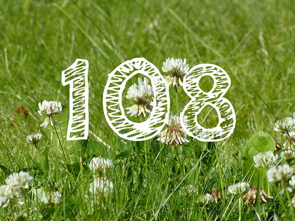 число 108 на траве