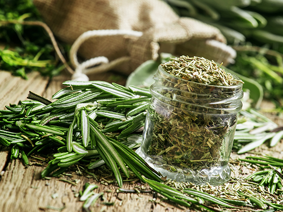 сушеный и свежий розмарин