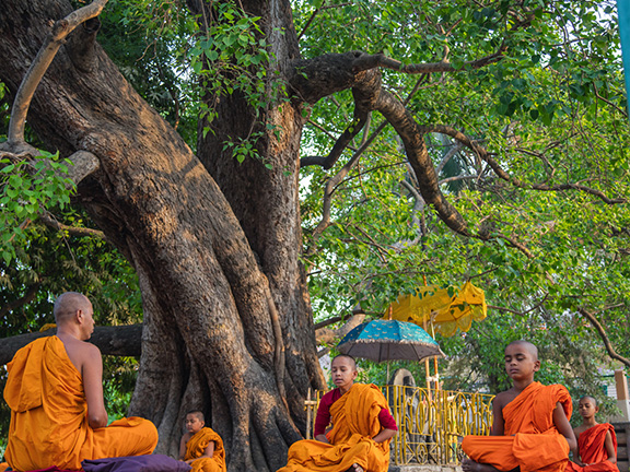 Бодджханга сутта: Факторы просветления