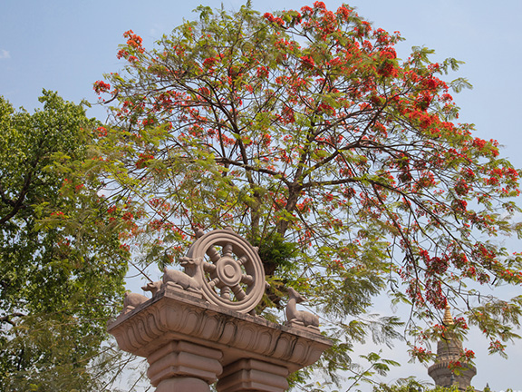 Патхама катхаваттху сутта: Темы для обсуждений (I)