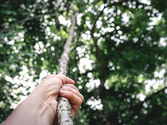 За что держаться?