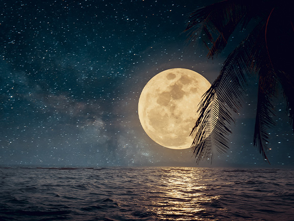 Комплекс Чандра Намаскар – Приветствие Луне🌙