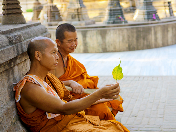 Сколько листьев в руке? 