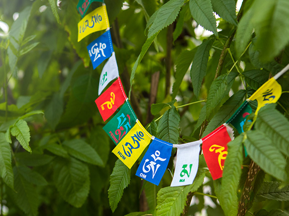 Анусая сутта: Скрытые склонности