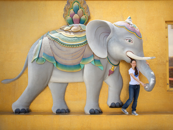 Джатака о привыкшем выигрывать