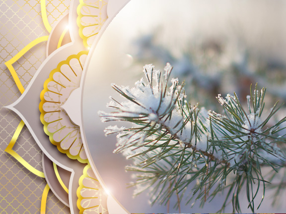 Фотографии