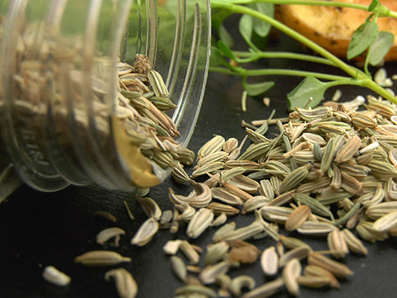 сушеные семена фенхеля