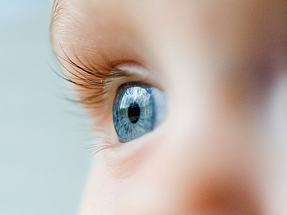 Педагогика Божественная